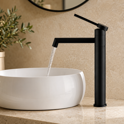 Mitigeur Inox 304 Bec Orientable Noir